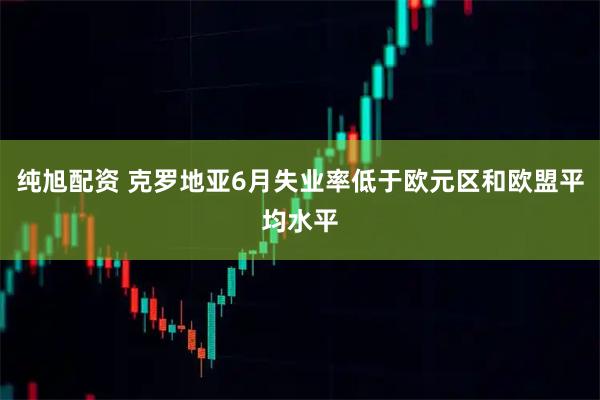 纯旭配资 克罗地亚6月失业率低于欧元区和欧盟平均水平