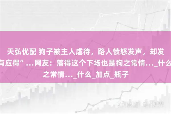 天弘优配 狗子被主人虐待,路人愤怒发声,却发现狗子“罪有应得”…网友:落得这个下场也是狗之常情…_什么_加点_瓶子