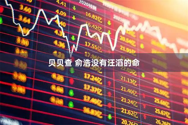 贝贝查 俞浩没有汪滔的命