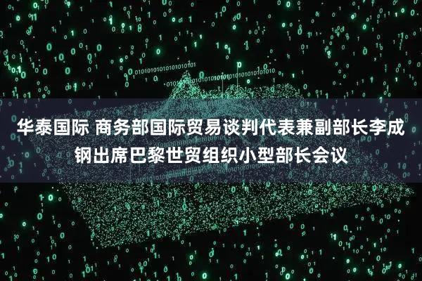 华泰国际 商务部国际贸易谈判代表兼副部长李成钢出席巴黎世贸组织小型部长会议