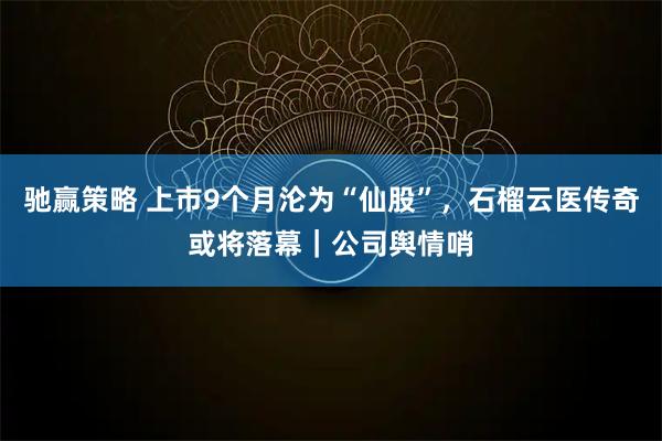 驰赢策略 上市9个月沦为“仙股”，石榴云医传奇或将落幕｜公司舆情哨